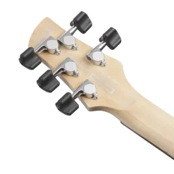 Ibanez GWB25THSWF 5 String Electric Bass Guitar Silver Wave Burst Flat