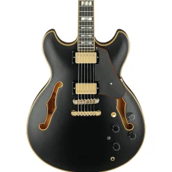 Ibanez JSM20 BKL John Scofield Electric Guitar w/ Case