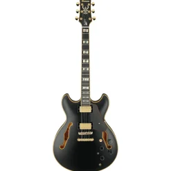 Ibanez JSM20 BKL John Scofield Electric Guitar w/ Case
