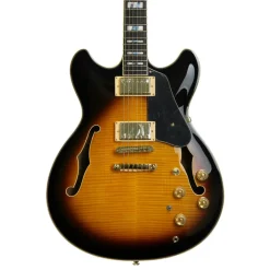 Ibanez JSM10 VYS John Scofield Electric Guitar W/Case