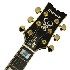 Ibanez JSM10 VYS John Scofield Electric Guitar W/Case