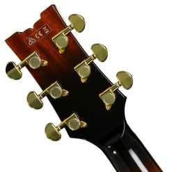 Ibanez JSM10 VYS John Scofield Electric Guitar W/Case