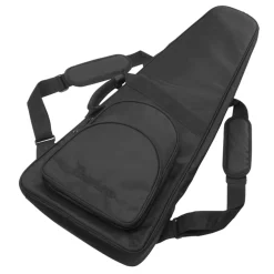 Ibanez Limited Edition Q52PE Natural Flat