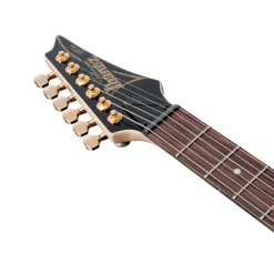 Ibanez PGM50 Paul Gilbert Signature Electric Guitar - Black