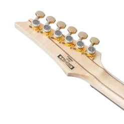 Ibanez PGM50 Paul Gilbert Signature Electric Guitar - Black