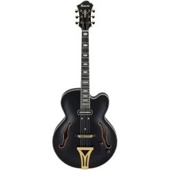 Ibanez PM3C Pat Metheny Signature Electric Guitar - Black Low Gloss