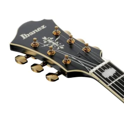 Ibanez PM3C Pat Metheny Signature Electric Guitar - Black Low Gloss