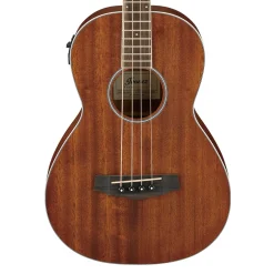 Ibanez PNB14E OPN Acoustic Bass Guitar