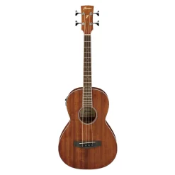 Ibanez PNB14E OPN Acoustic Bass Guitar
