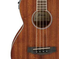Ibanez PNB14E OPN Acoustic Bass Guitar