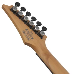 Ibanez RGD61 Nyatoh Body and Ebony Fretboard - Black Aurora Burst Matte