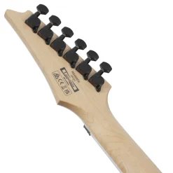 Ibanez RG460DX Meranti Body with Jatoba Fretboard - Blue Haze