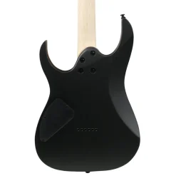 Ibanez RG421EXBKF Electric Guitar - Black Flat