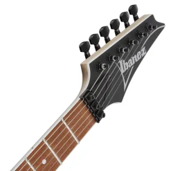 Ibanez RG420EXBKF Electric Guitar Black Flat
