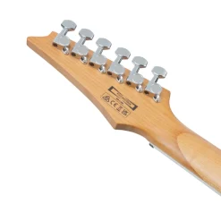 Ibanez RG220PA1 Electric Guitar - Transparent Brown Black Burst