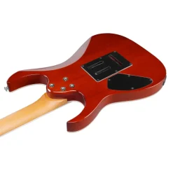 Ibanez RG220PA1 Electric Guitar - Transparent Brown Black Burst