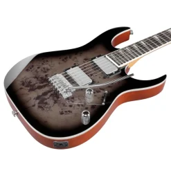 Ibanez RG220PA1 Electric Guitar - Transparent Brown Black Burst