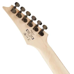 Ibanez RG421PB CHF Electric Guitar