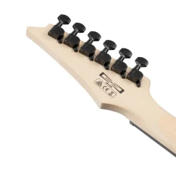 Ibanez RG120QASP Electric Guitar - Blue Gradation