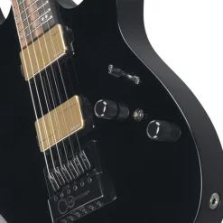 Ibanez RGR52ET Maple Top with Macassar Ebony Fretboard - Black