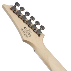 Ibanez RG421SSEM Electric Guitar Sea Shore Matte