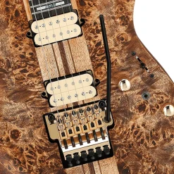 Ibanez RGT1220PB Premium - Antique Brown Stained