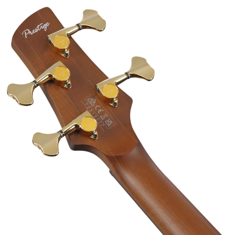 Ibanez SR3500 Prestige Bass Alder Body and Case - Black