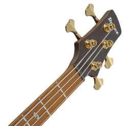 Ibanez SR4500 Prestige Bass Ash Body and Case - Desert Sunset Burst