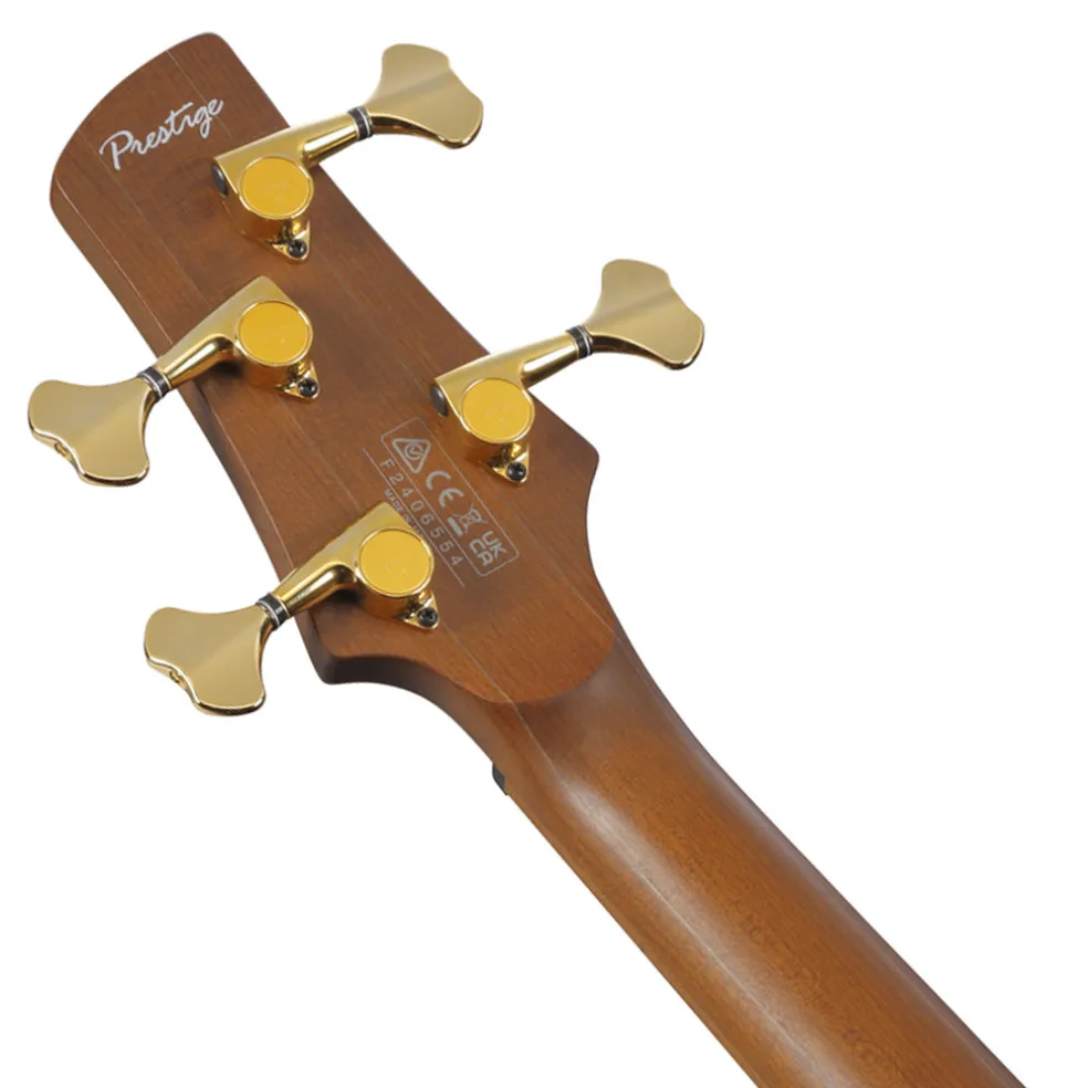 Ibanez SR4500 Prestige Bass Ash Body and Case - Desert Sunset Burst