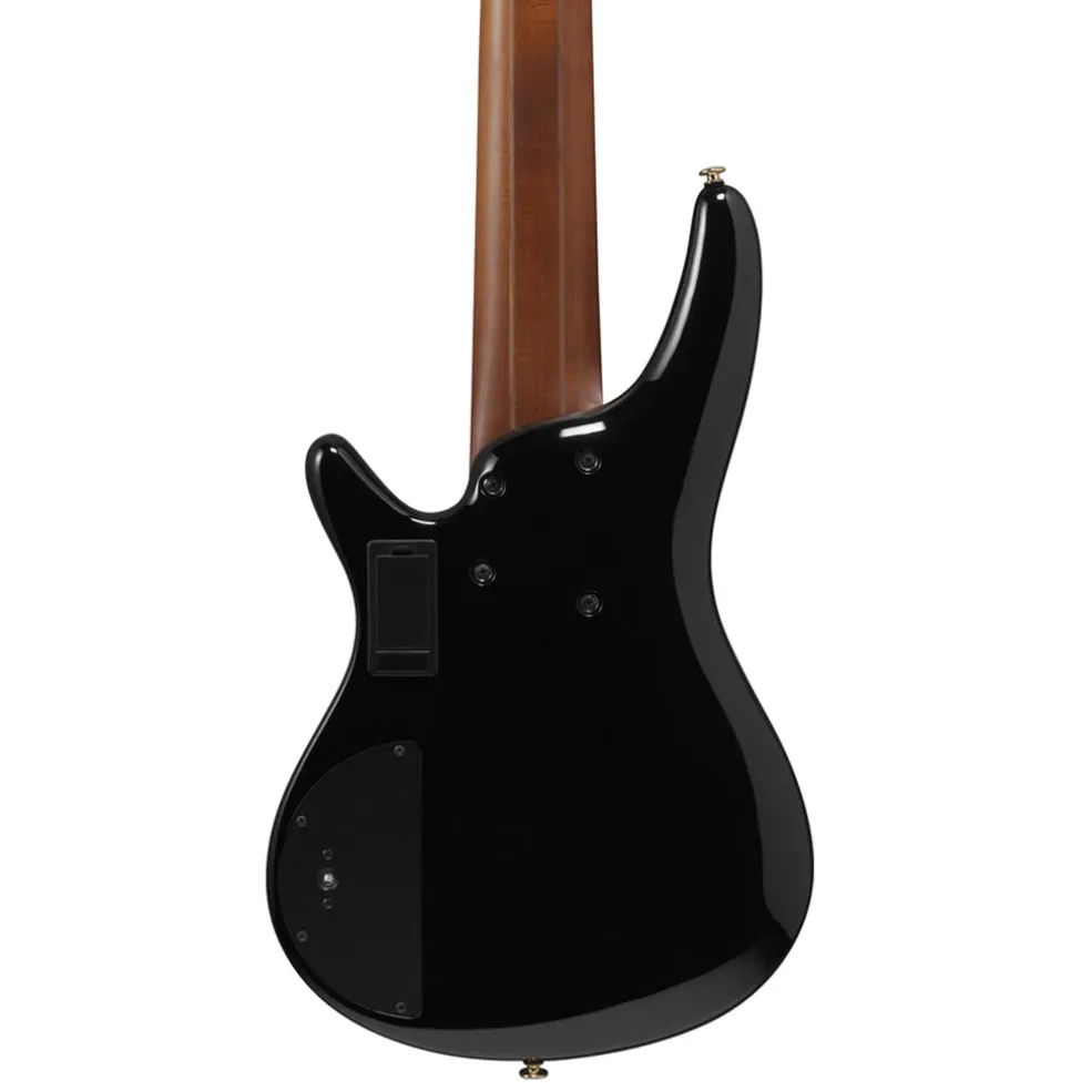 Ibanez SR3506 Prestige 6-String Bass Alder Body and Case - Black