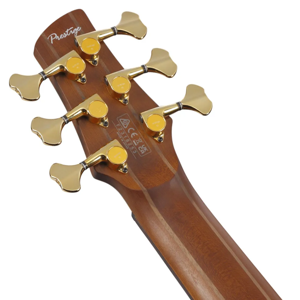 Ibanez SR3506 Prestige 6-String Bass Alder Body and Case - Black