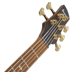 Ibanez SR4505 5-String Bass Ash Body with Roasted Maple Fretboard and Case - Desert Sunset Burst