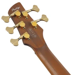 Ibanez SR4505 5-String Bass Ash Body with Roasted Maple Fretboard and Case - Desert Sunset Burst