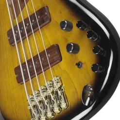 Ibanez SR4505 5-String Bass Ash Body with Roasted Maple Fretboard and Case - Desert Sunset Burst