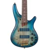Ibanez SR6605 5-String Bass Mappa Burl Top with Rosewood Fretboard and Case - Ghost Fleet Blue Burst