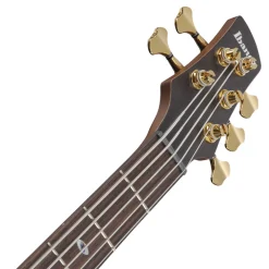 Ibanez SR6605 5-String Bass Mappa Burl Top with Rosewood Fretboard and Case - Ghost Fleet Blue Burst