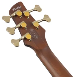 Ibanez SR6605 5-String Bass Mappa Burl Top with Rosewood Fretboard and Case - Ghost Fleet Blue Burst