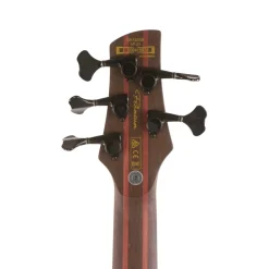 Ibanez SR1605B Premium Electric 5-String Bass, Caribbean Shoreline Flat