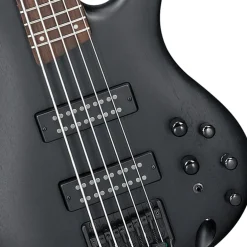 Ibanez SR305EB WK Electric 5-String.Bass