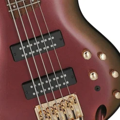 Ibanez SR305EDX - 5 String - Rose Gold Chameleon