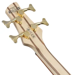 Ibanez SR300EDX Wine Red Frozen Matte Electric Bass