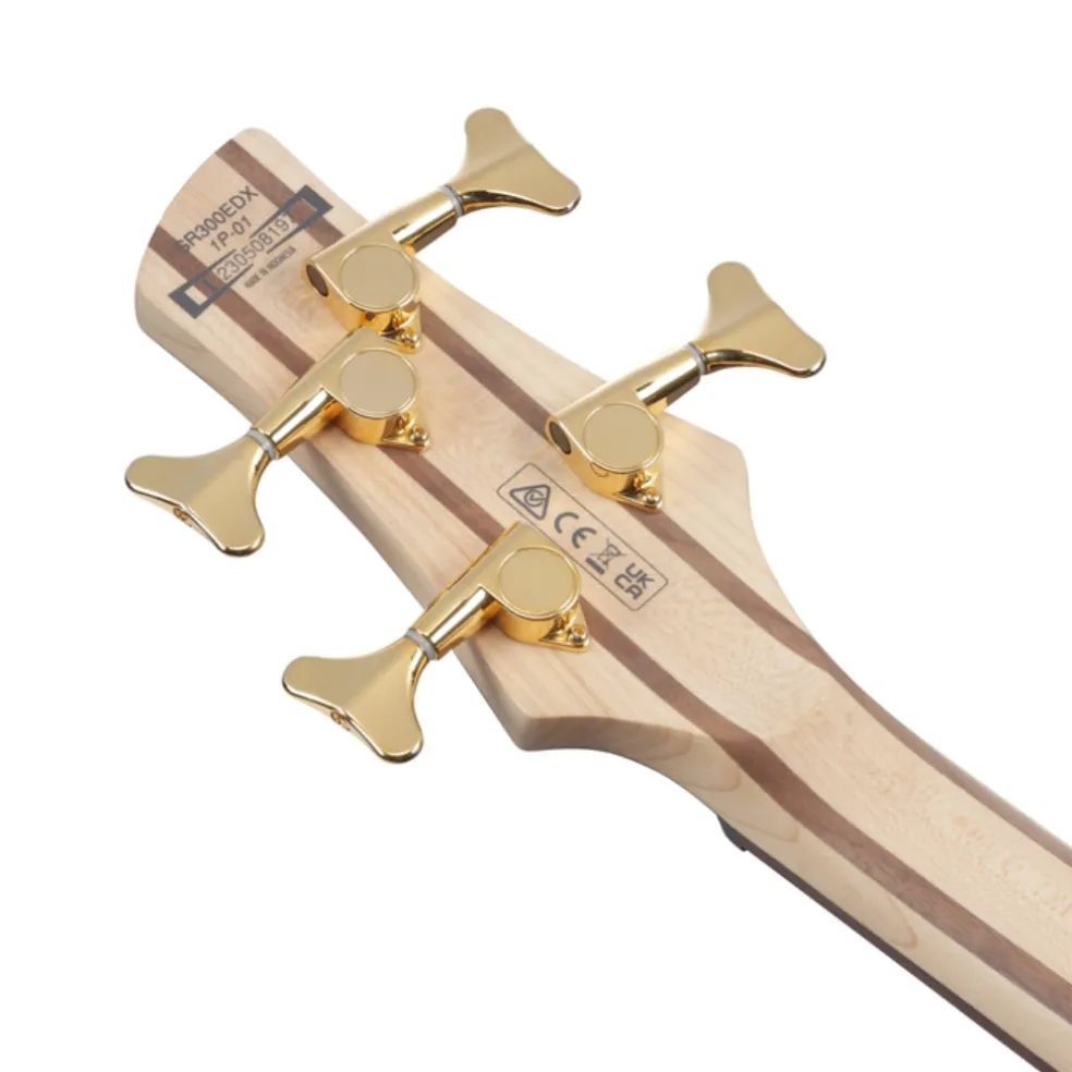 Ibanez SR300EDXBZM 4 String Electric Bass Guitar Black Ice Frozen Matte