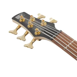 Ibanez SR305EDXBZM 5 String Electric Bass Guitar Black Ice Frozen Matte