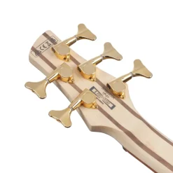 Ibanez SR305EDXBZM 5 String Electric Bass Guitar Black Ice Frozen Matte