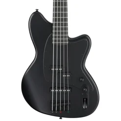 Ibanez TMB425B Black Flat 5 String Electric Bass