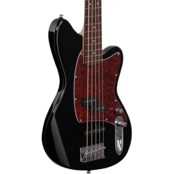 Ibanez TMB105BK Talman 5 String Electric Bass Guitar Black