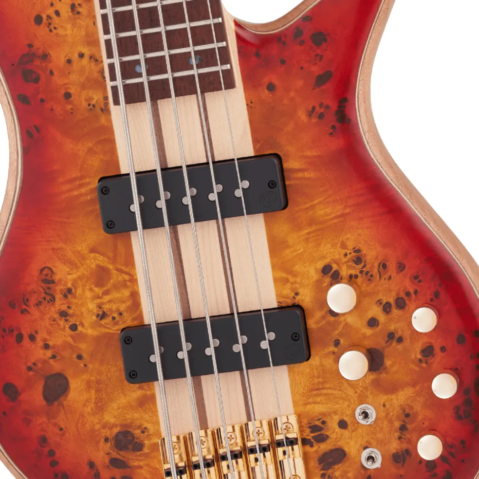 Jackson - Pro Series Spectra Bass SBP V, Caramelized Jatoba Fingerboard, Transparent Cherry Burst | Bass Guitars | 2919934515