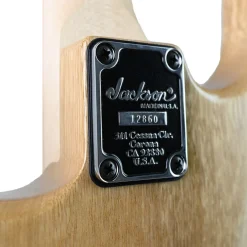 Jackson Custom Shop - Joe Williams Masterbuilt SD22 HS - Korina | Electric Guitars | XN12860A