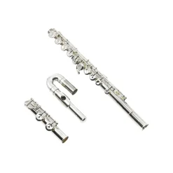 JY - Flute Key of C with Case