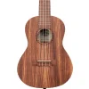 Kala Concert Ukulele - Teak